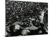 Water, Rock, Sand, c. 1965-Brett Weston-Mounted Photographic Print