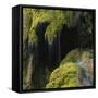 Water Running down Vegetation Covered Rocks-Micha Pawlitzki-Framed Stretched Canvas