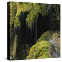 Water Running down Vegetation Covered Rocks-Micha Pawlitzki-Stretched Canvas