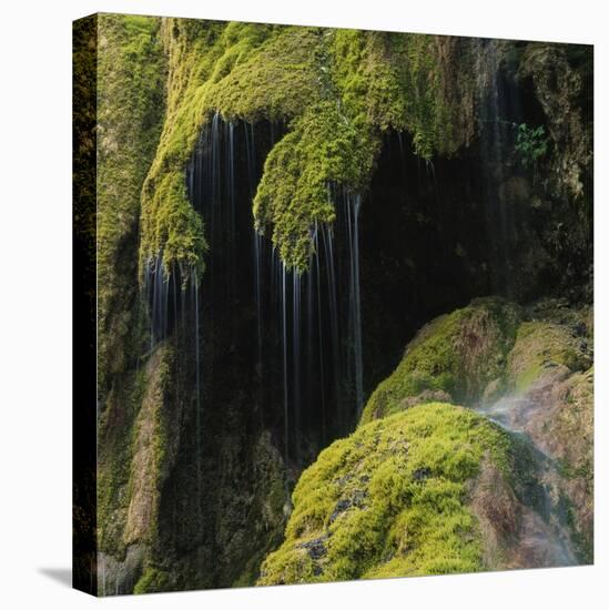 Water Running down Vegetation Covered Rocks-Micha Pawlitzki-Stretched Canvas