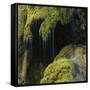 Water Running down Vegetation Covered Rocks-Micha Pawlitzki-Framed Stretched Canvas