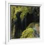 Water Running down Vegetation Covered Rocks-Micha Pawlitzki-Framed Photographic Print