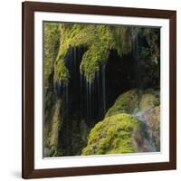 Water Running down Vegetation Covered Rocks-Micha Pawlitzki-Framed Photographic Print