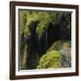 Water Running down Vegetation Covered Rocks-Micha Pawlitzki-Framed Photographic Print