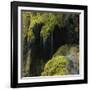 Water Running down Vegetation Covered Rocks-Micha Pawlitzki-Framed Photographic Print