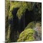 Water Running down Vegetation Covered Rocks-Micha Pawlitzki-Mounted Photographic Print