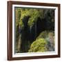 Water Running down Vegetation Covered Rocks-Micha Pawlitzki-Framed Photographic Print