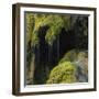 Water Running down Vegetation Covered Rocks-Micha Pawlitzki-Framed Photographic Print