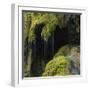 Water Running down Vegetation Covered Rocks-Micha Pawlitzki-Framed Photographic Print