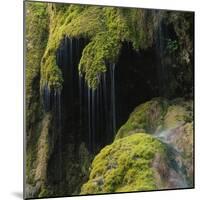 Water Running down Vegetation Covered Rocks-Micha Pawlitzki-Mounted Photographic Print