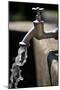 Water Running Out of a Water Tap-Frank May-Mounted Photo