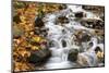 Water Running over Rocks in Wahkeena Creek-Craig Tuttle-Mounted Photographic Print