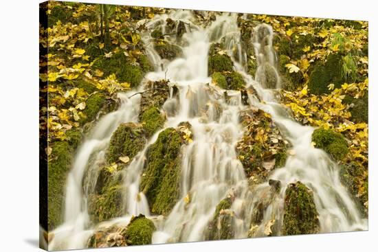 Water Running Through Woods around Gradinsko Lake, Upper Lakes, Plitvice Lakes Np, Croatia-Biancarelli-Stretched Canvas