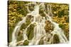Water Running Through Woods around Gradinsko Lake, Upper Lakes, Plitvice Lakes Np, Croatia-Biancarelli-Stretched Canvas