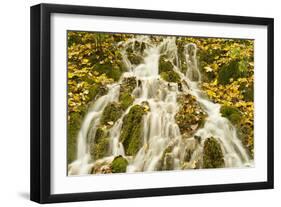 Water Running Through Woods around Gradinsko Lake, Upper Lakes, Plitvice Lakes Np, Croatia-Biancarelli-Framed Photographic Print