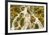 Water Running Through Woods around Gradinsko Lake, Upper Lakes, Plitvice Lakes Np, Croatia-Biancarelli-Framed Photographic Print