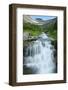 Water Rushing Down Alpine Stream, Logan Pass, Glacier National Park-Thomas Lazar-Framed Photographic Print