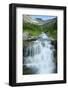 Water Rushing Down Alpine Stream, Logan Pass, Glacier National Park-Thomas Lazar-Framed Photographic Print