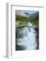 Water Rushing Down Alpine Stream, Logan Pass, Glacier National Park-Thomas Lazar-Framed Photographic Print