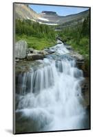 Water Rushing Down Alpine Stream, Logan Pass, Glacier National Park-Thomas Lazar-Mounted Photographic Print