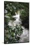 Water Rushing over Stones in Lush Jungle-John Dominis-Stretched Canvas