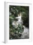 Water Rushing over Stones in Lush Jungle-John Dominis-Framed Photographic Print