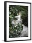 Water Rushing over Stones in Lush Jungle-John Dominis-Framed Photographic Print