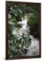 Water Rushing over Stones in Lush Jungle-John Dominis-Framed Photographic Print