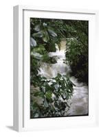 Water Rushing over Stones in Lush Jungle-John Dominis-Framed Photographic Print