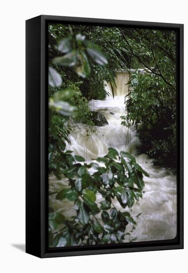 Water Rushing over Stones in Lush Jungle-John Dominis-Framed Stretched Canvas