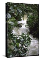 Water Rushing over Stones in Lush Jungle-John Dominis-Stretched Canvas