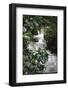 Water Rushing over Stones in Lush Jungle-John Dominis-Framed Photographic Print