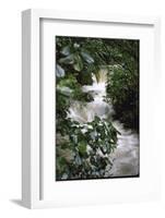 Water Rushing over Stones in Lush Jungle-John Dominis-Framed Photographic Print