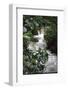 Water Rushing over Stones in Lush Jungle-John Dominis-Framed Photographic Print
