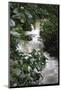 Water Rushing over Stones in Lush Jungle-John Dominis-Mounted Photographic Print