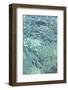 Water Series #10-Betsy Cameron-Framed Art Print