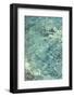 Water Series #8-Betsy Cameron-Framed Art Print