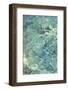 Water Series #8-Betsy Cameron-Framed Art Print