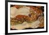 Water Serpents II, (Friends) 1904-07-Gustav Klimt-Framed Giclee Print