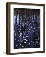 Water shield, Little Scotia Pond, Mark Twain National Forest, Missouri, USA-Charles Gurche-Framed Photographic Print