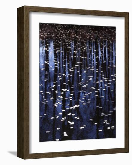 Water shield, Little Scotia Pond, Mark Twain National Forest, Missouri, USA-Charles Gurche-Framed Photographic Print