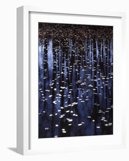 Water shield, Little Scotia Pond, Mark Twain National Forest, Missouri, USA-Charles Gurche-Framed Photographic Print