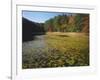 Water Shield on Twin Pines Pond, Mark Twain National Forest, Missouri, USA-Charles Gurche-Framed Photographic Print