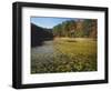 Water Shield on Twin Pines Pond, Mark Twain National Forest, Missouri, USA-Charles Gurche-Framed Photographic Print