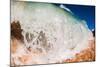 Water shot of a tubing shore break wave crashing onto a Hawaiian beach-Mark A Johnson-Mounted Photographic Print