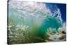 Water shot of a tubing wave off a Hawaiian beach-Mark A Johnson-Stretched Canvas