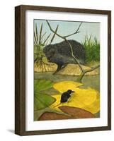Water Shrew and Hedgehog, 1974-Kenneth Lilly-Framed Giclee Print