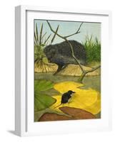 Water Shrew and Hedgehog, 1974-Kenneth Lilly-Framed Giclee Print