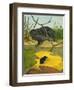 Water Shrew and Hedgehog, 1974-Kenneth Lilly-Framed Giclee Print