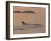 Water Skier, Dinard Bay, Cote d'Emeraude (Emerald Coast), Cotes d'Armor, Brittany, France-David Hughes-Framed Photographic Print